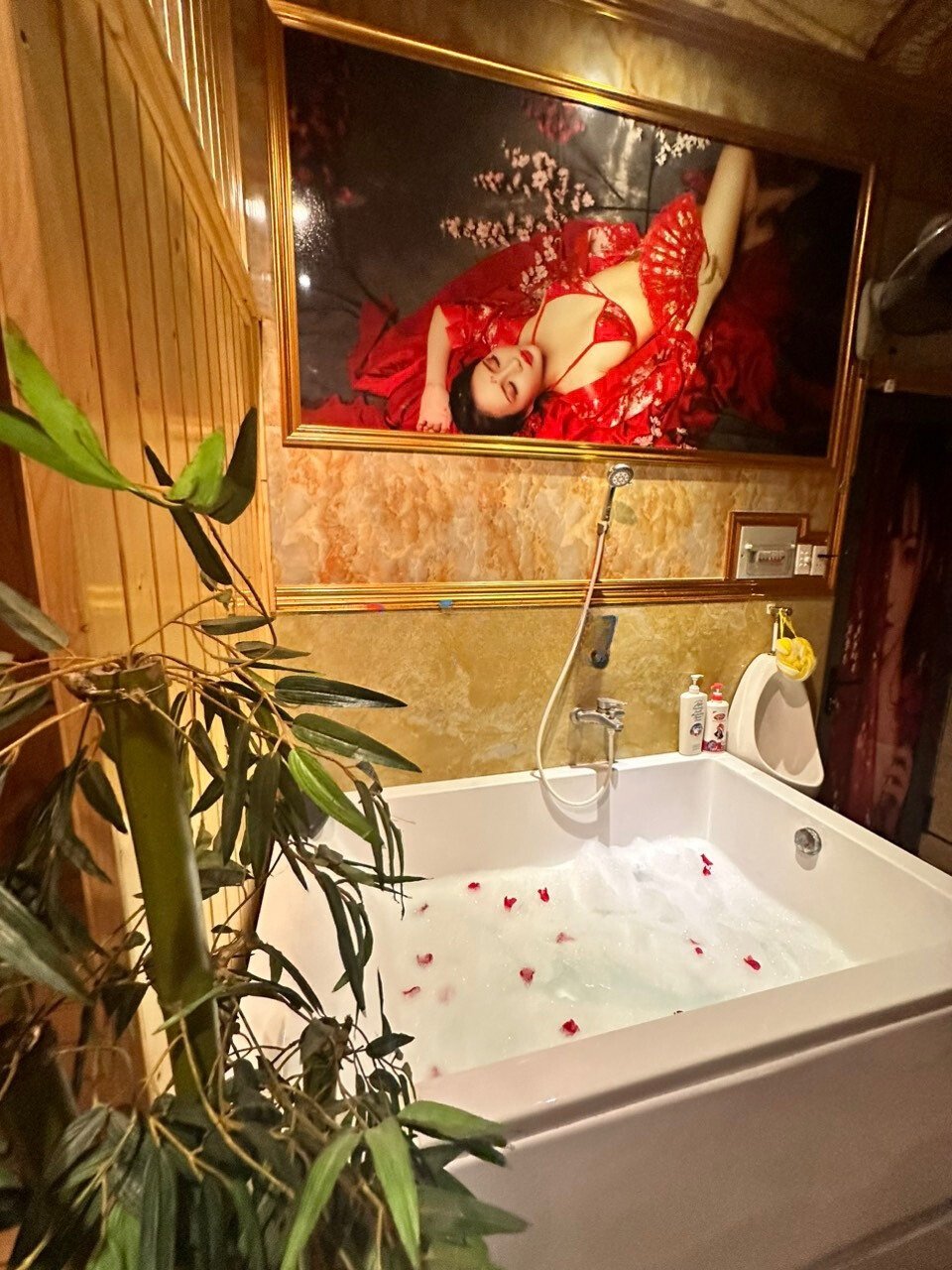 Hoà Bình 182 Tân Phú 