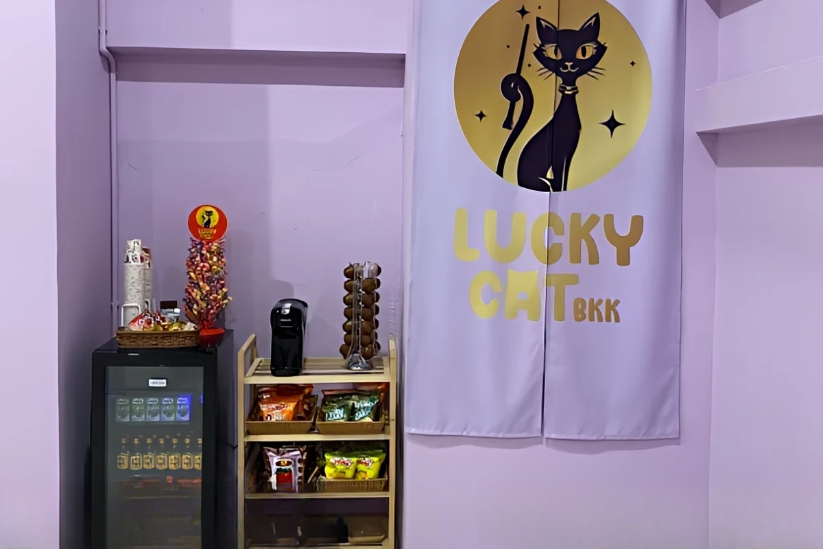 Lucky Cat Massage