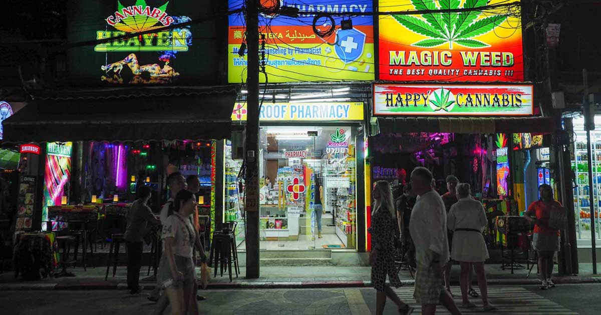 Cannabis and Nightlife in Thailand: Current Rules, Risks and Where to Verify Them