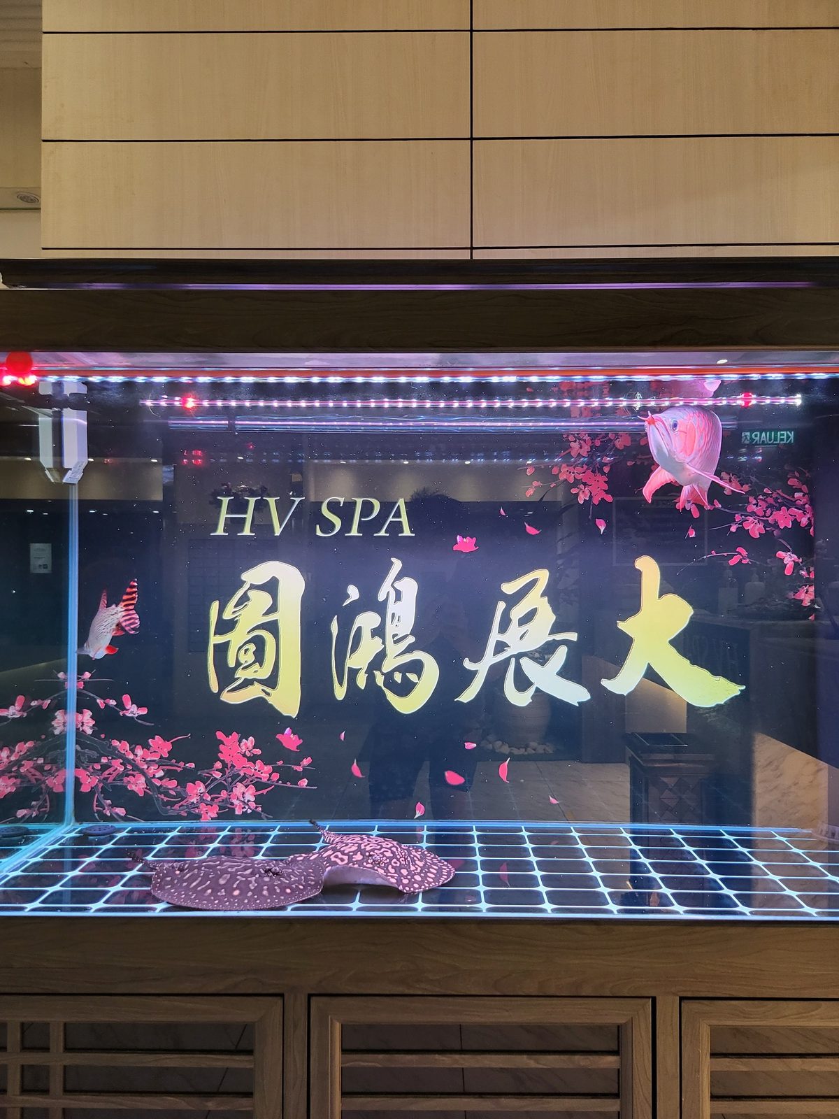JB Spa HV