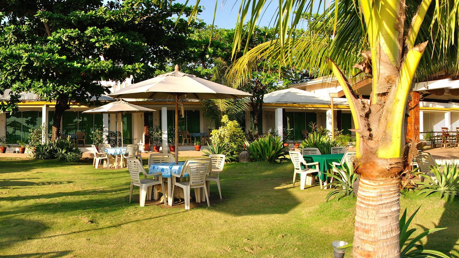 Wild Orchid Resort Subic