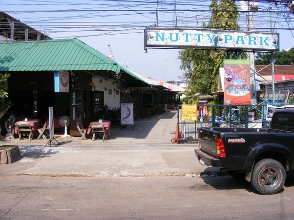 Nutty Park