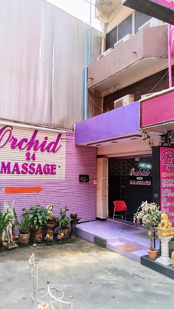 Orchid 24