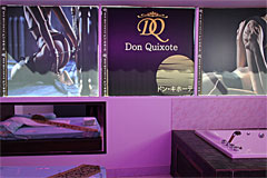 Don Quixote