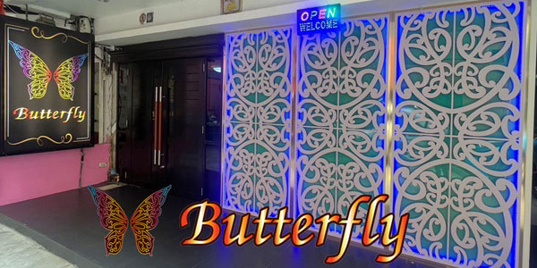 Butterfly